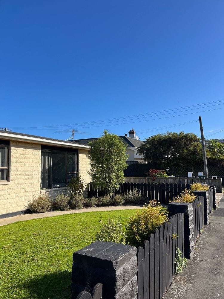 58 Albert Street Saint Clair_2