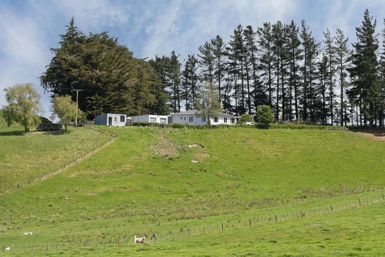 300 Pattison Road Waipukurau_11