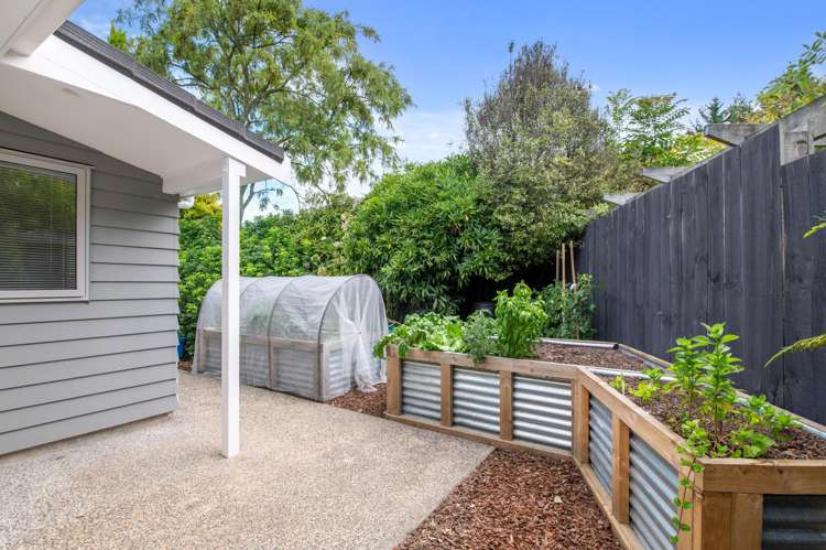 23 Day Place Springfield_26