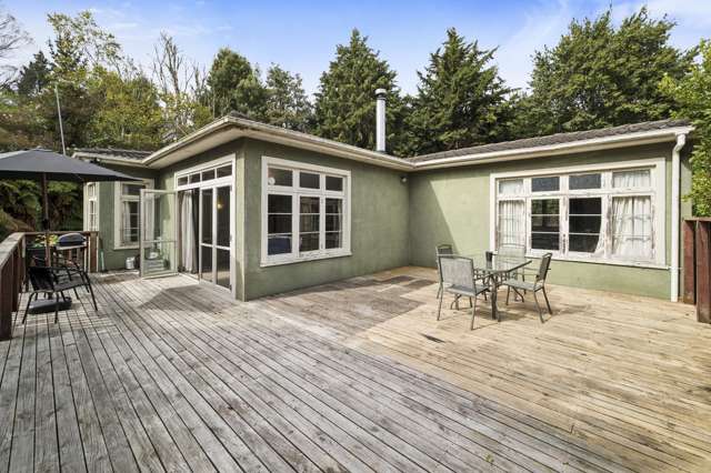 Full of character and potential!