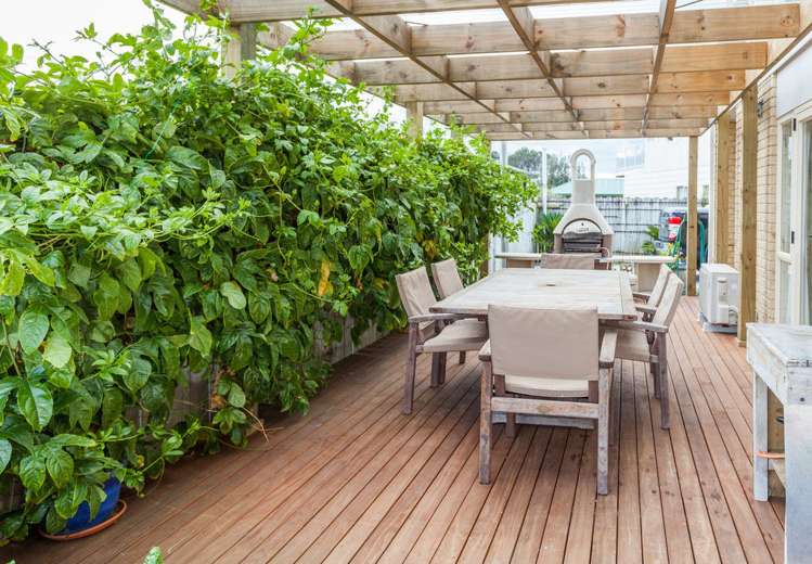 303b Mary Road Whangamata_18