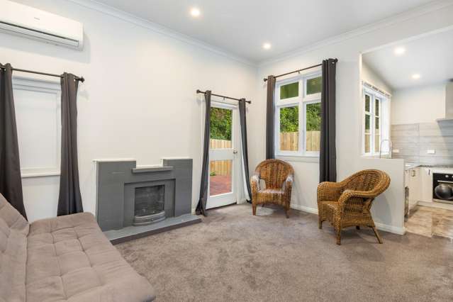 24 Balfour Street Mornington_4