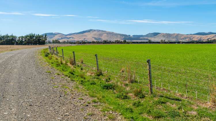 157 Georges Road Amberley_13