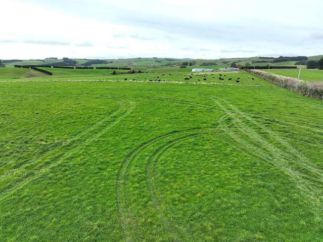 Dairy Grazing Opportunity