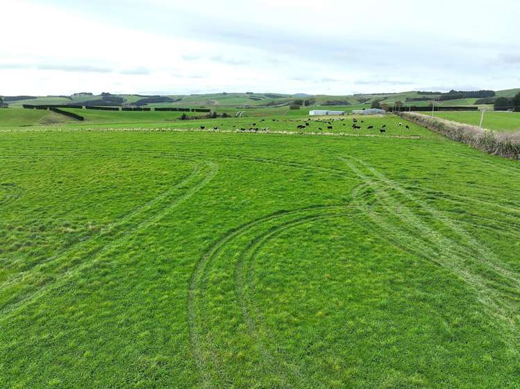 289 Woodslea Downs Road_0