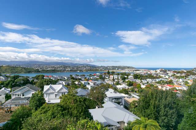 79 Rakau Road Hataitai_2