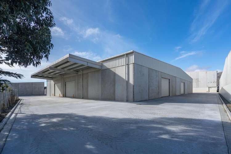 35A Kennaway Road Hillsborough_6