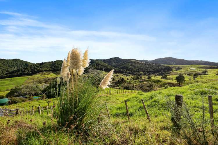 Lots 1&3/101 Brooklands Way Kaiwaka_5