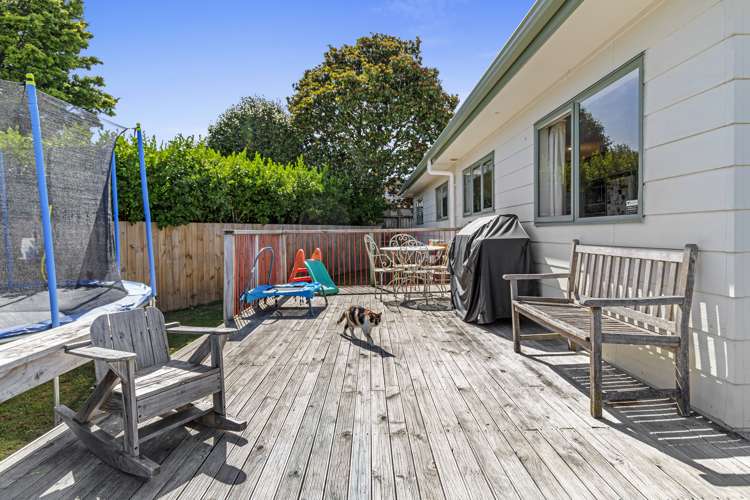 24b Livingstone Avenue Nawton_11