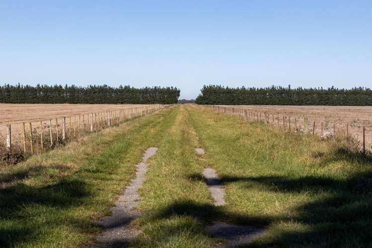 1234 Back Track Ashburton_13