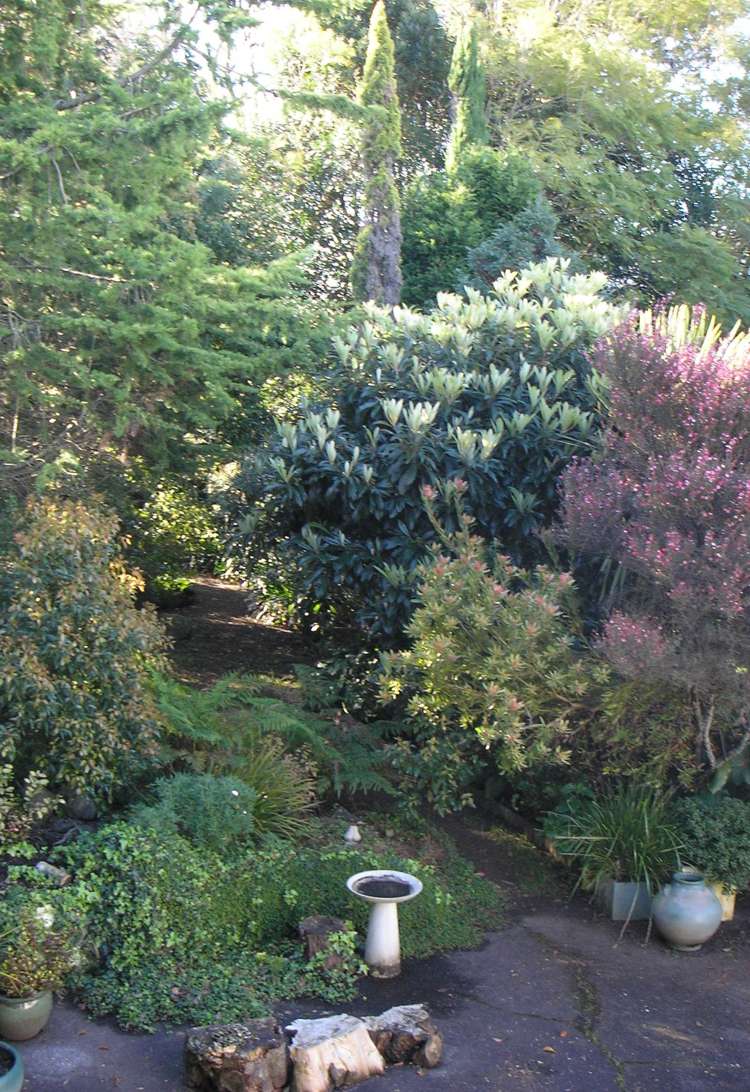 4/15 Hamlin Road Mount Wellington_6