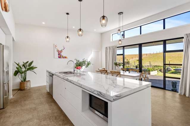 93 Dobson Street Gleniti_3