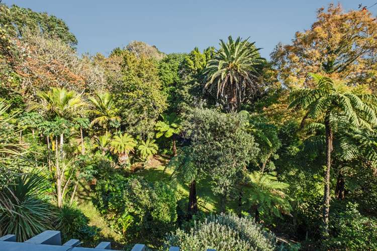 64 Cutfield Road New Plymouth Central_9