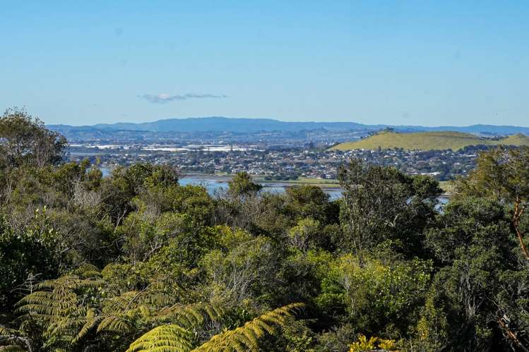 4a Cape Horn Road Hillsborough_26