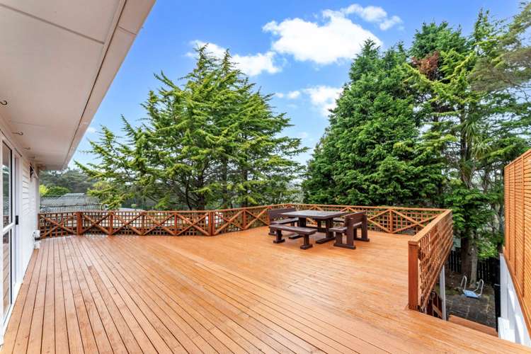 56 Taupo Street Green Bay_7