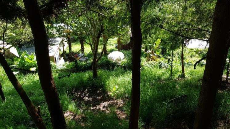 6 Banks Lane Waikino_6