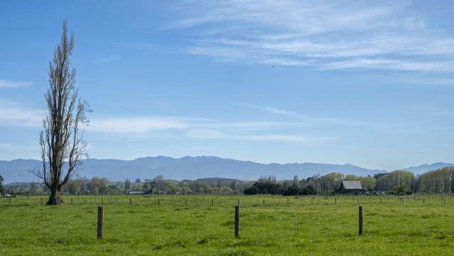 Chishams Road Martinborough_4