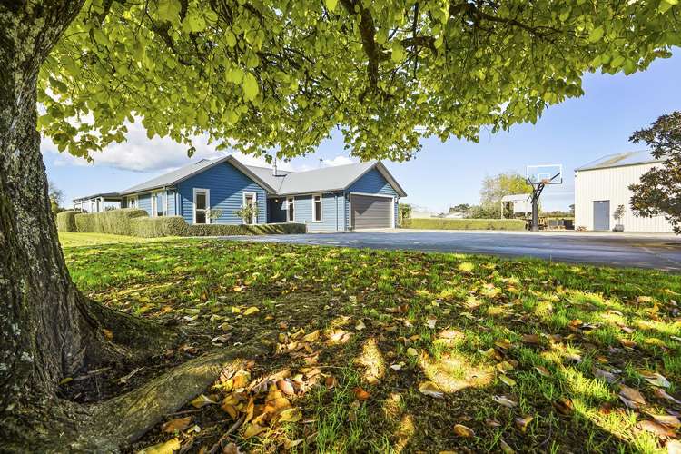 64b Crawford Road Te Kowhai_33