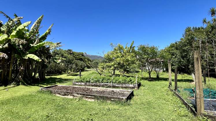 37 Nikau Road, State Highway 67 Hector_6