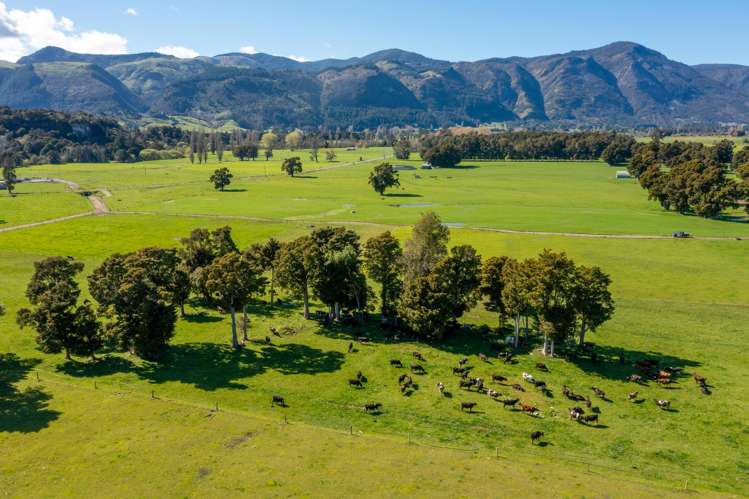 1707-1780 Takaka Valley Highway East Takaka_5