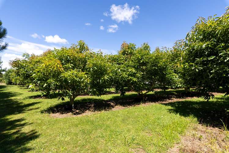 2276 Gordonton Road Taupiri_28