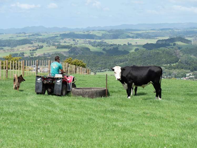 92 Hautapu Road Pakaraka_44