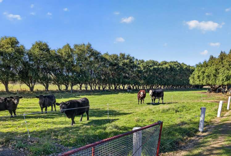 65 Burneys Road Motukarara_25