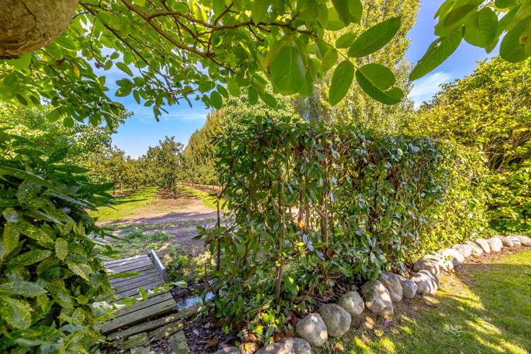 34b Mcmaster Street Greytown_19