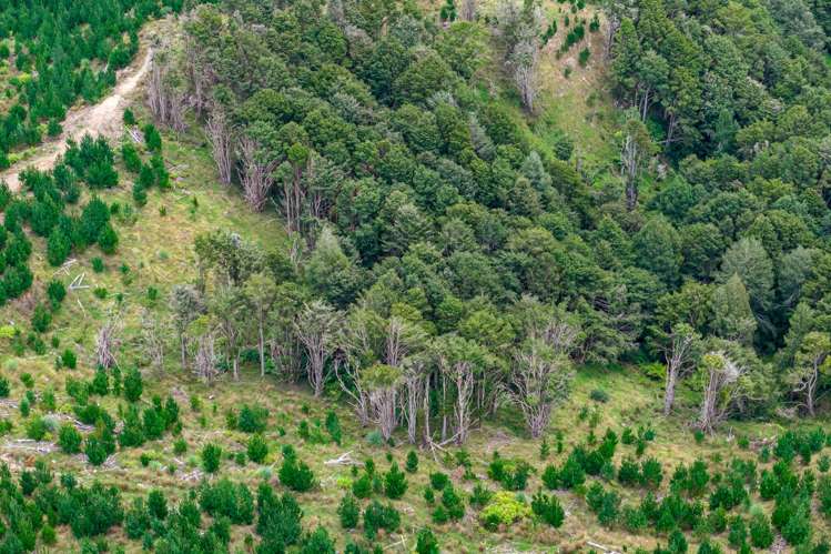 Lot/12 Arcadia Road Paparoa_13