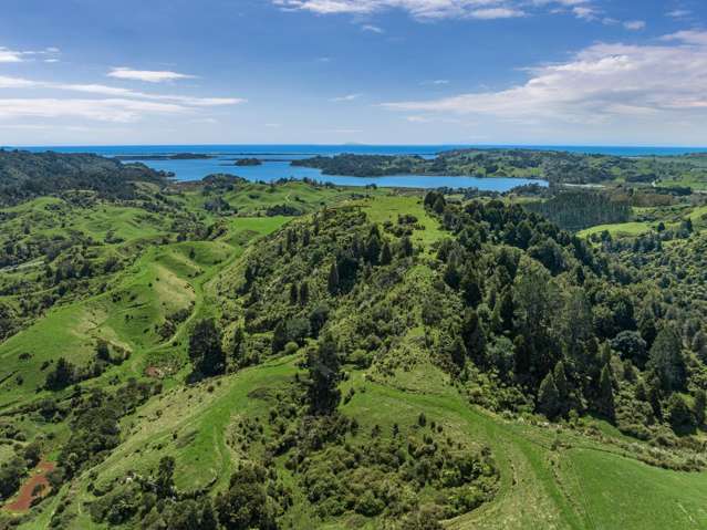 2338 State Highway 2 Opotiki_2