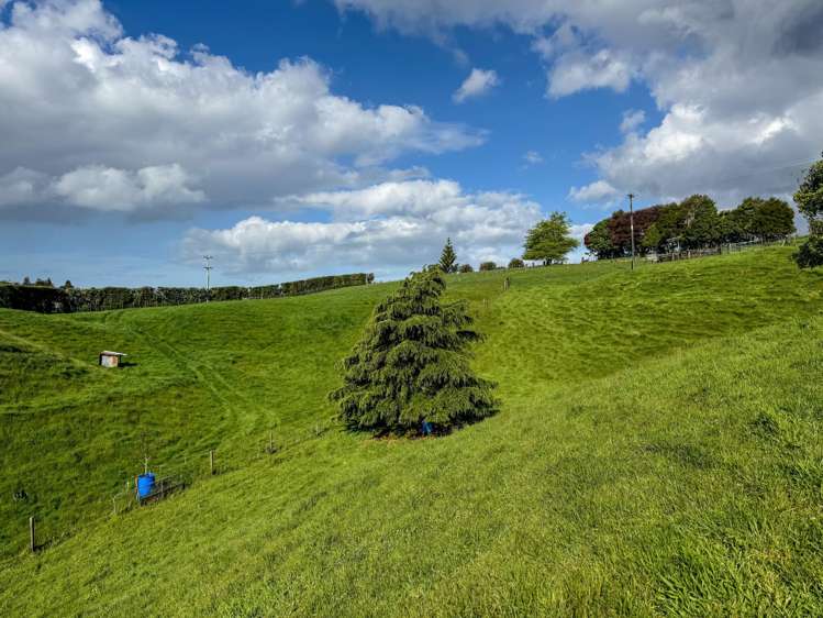 1556 Te Matai Road, Te Ranga Te Puke_24