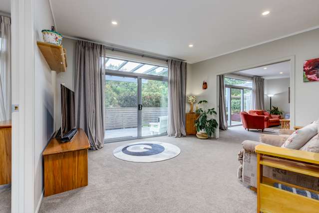 10 Piako Park Lane Morrinsville_4