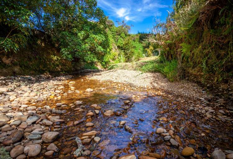 1379 Tadmor-Glenhope Road Tapawera_19