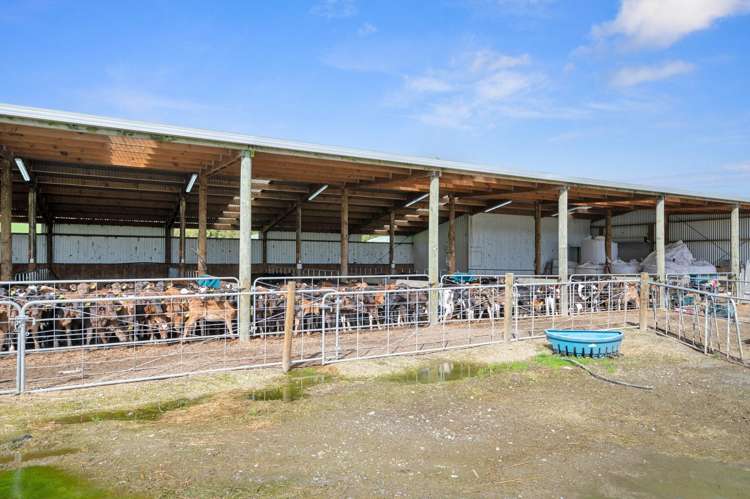 283 Minginui Road Galatea_32