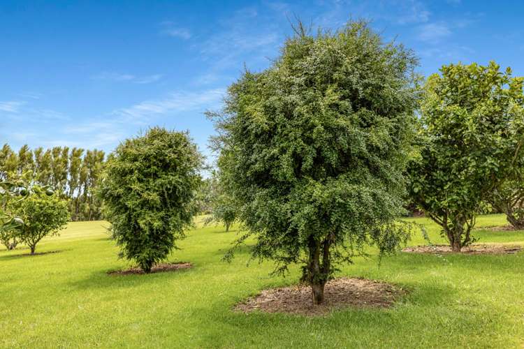 60a Devich Road Mangawhai_18