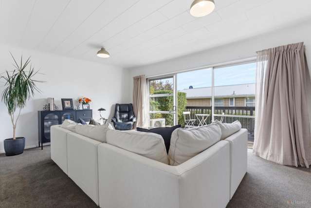 3/8 Campbell Street Maori Hill_2