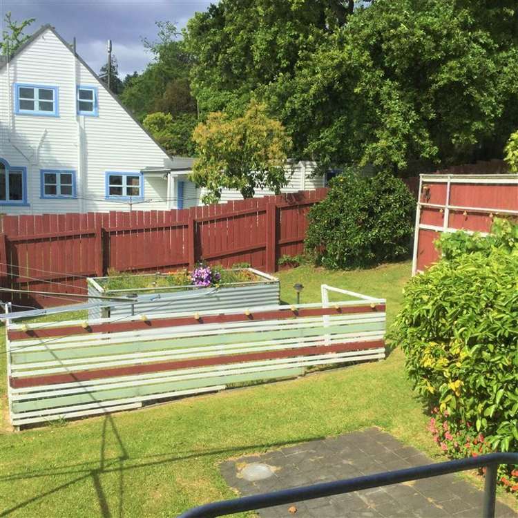 56 Willoughby Street Paeroa_5