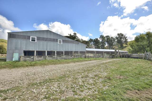 Rimunui Waerenga-O-Kuri_3