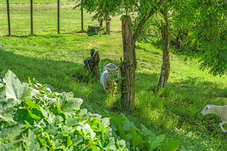 1 Paratu Road Richmond Downs_40