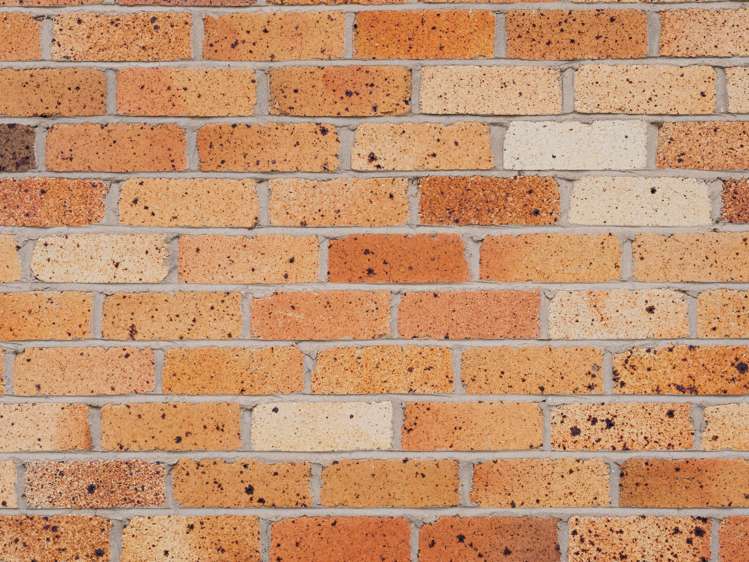 8a Carisbrooke Street Katikati_29