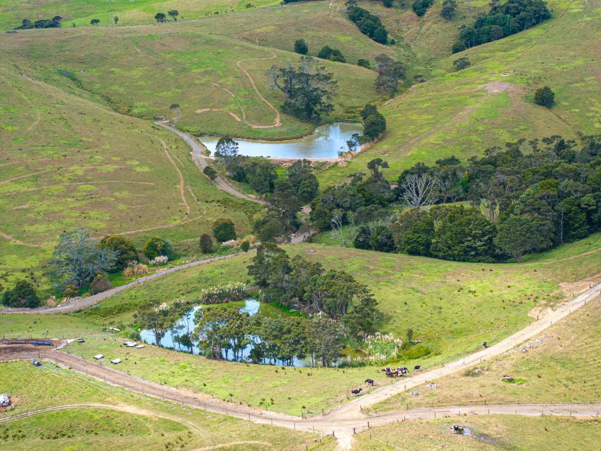 660 Kaipara Coast Highway_2