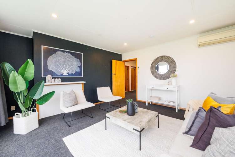 1 Ventura Grove Bulls_6