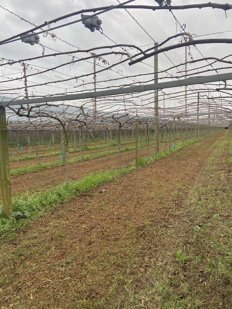 635 Awapuni Road, 160 and 153 Main Road Matawhero_22