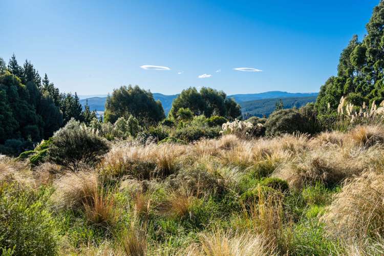 170 Halfway Bush Road Mount Grand_5