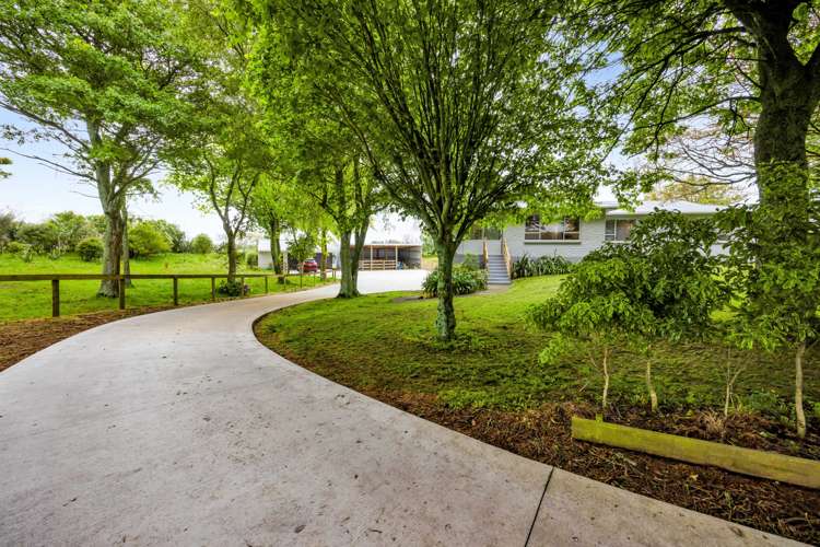 306 Upper Stuart Road Eltham_2