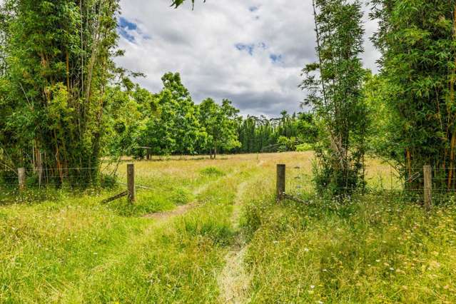 10 Acres Of Opportunity In Okaihau