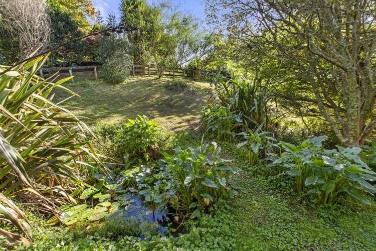 35 Glentui Lane Whatawhata_19