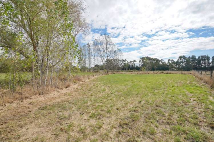 57 Canterbury Street Ashley_2