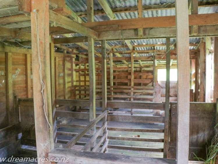 242 Owae Road Russell Surrounds_14