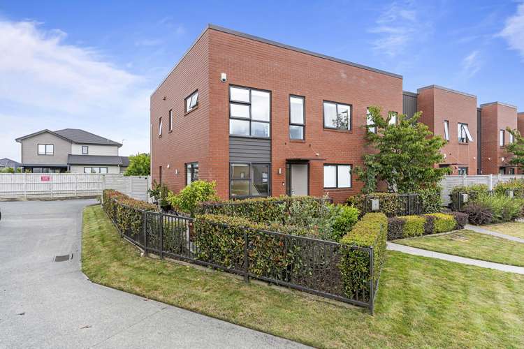 18 Pepene Avenue_3